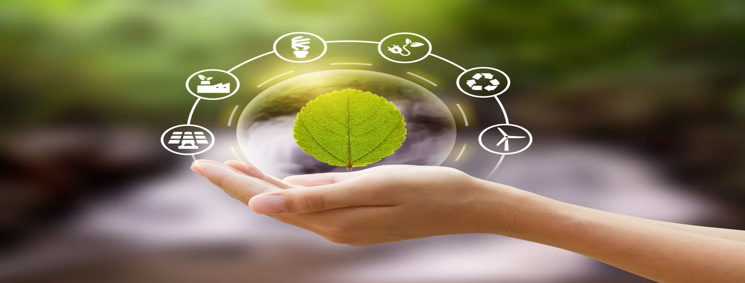 Image for EcoFriendly Living